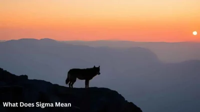 What Does Sigma Mean