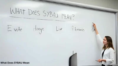 What Does SYBAU Mean